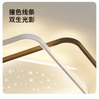 雷士照明[星雨]新款舒适光大瓦数北欧星空灯客厅主灯现代简约吸顶灯中山灯具