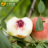 【顺丰快递】山东青州冬桃 桃子净重4.5斤 20个左右 箱装 脆甜可口 当季应季新鲜水果 诗亦生鲜