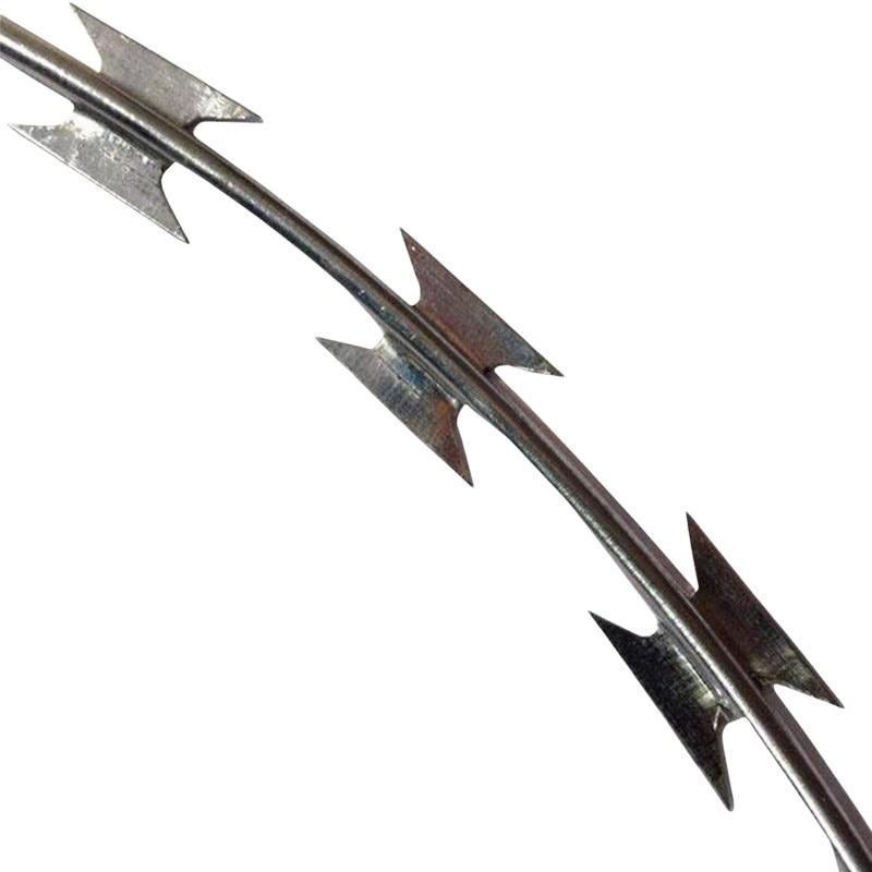 璐盐 刺笼刀片 φ50cm kg高清大图