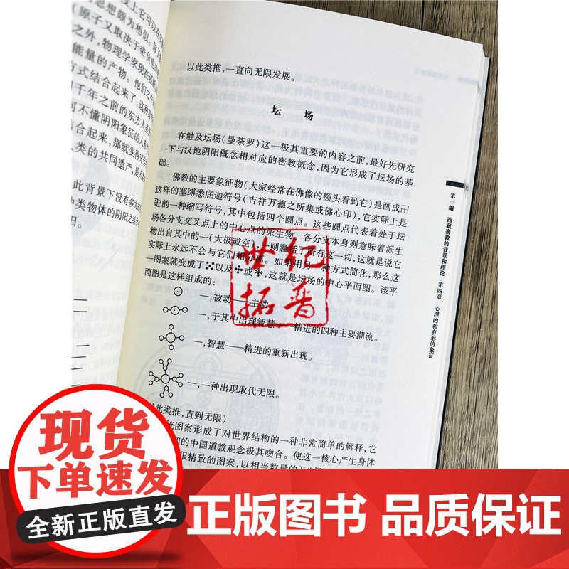 正版 西藏佛教密宗 约翰布洛菲尔德 著 中国藏学出版社藏传佛教藏学书籍西藏文化高清大图