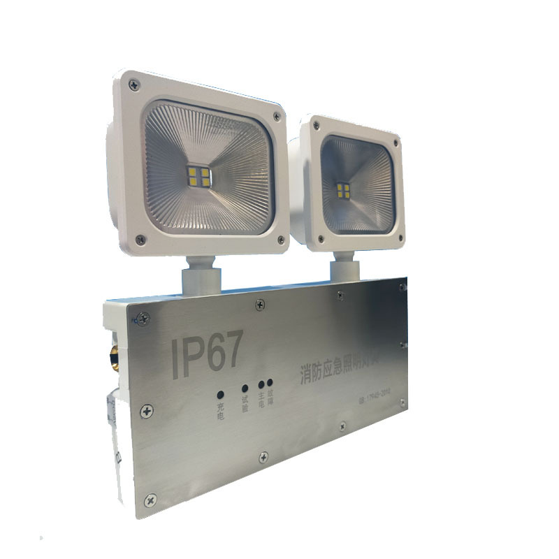 LHDQ 领航电器 LH3407 应急照明灯具 8W 应急时间90min 冷光 220V IP67