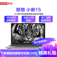 联想(Lenovo)小新15 2021款 15.6英寸全面屏超轻薄超级本笔记本电脑(十一代酷睿 i7-1165G7 16GB内存 512G固态 MX450-2G独显 高色域屏)银色