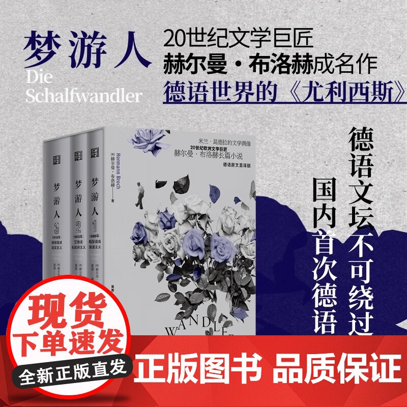 梦游人 赫尔曼·布洛赫 著 小说高清大图