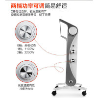 格力(GREE)欧式快热炉NBDC-22大面积供热 IPX4级防水 居浴两用 6s速热 取暖器