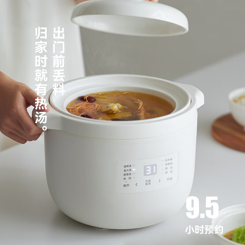 OLAYKS电炖锅2.5L恒温加热可预约OLK-DDG25A高清大图