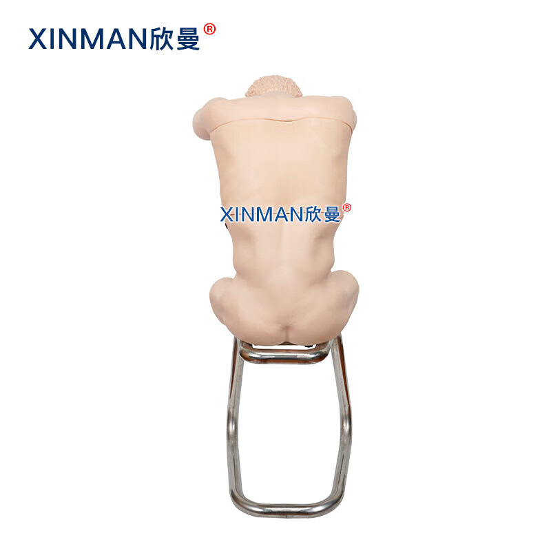 欣曼科教 胸腔背部穿刺训练模拟人 胸腔穿刺操作模型XM-LXQA高清大图
