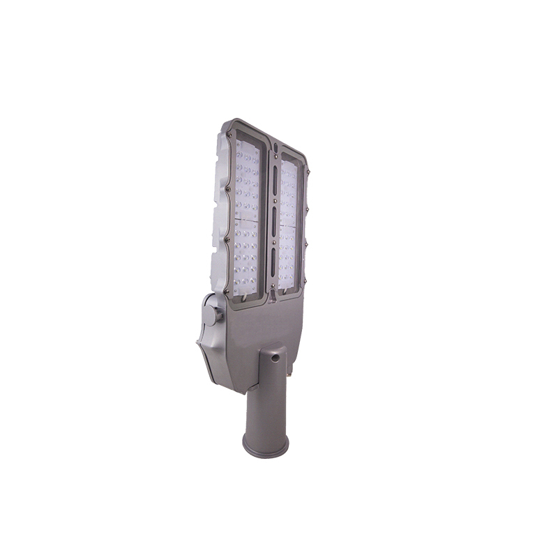 赛时工控(SHSSGK) SKSZD8-4206 LED道路灯 (单位:个) 灰
