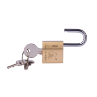 金岳 TR30-1J 铜芯 28*30*13mm 黄铜挂锁(计价单位:个)黄色