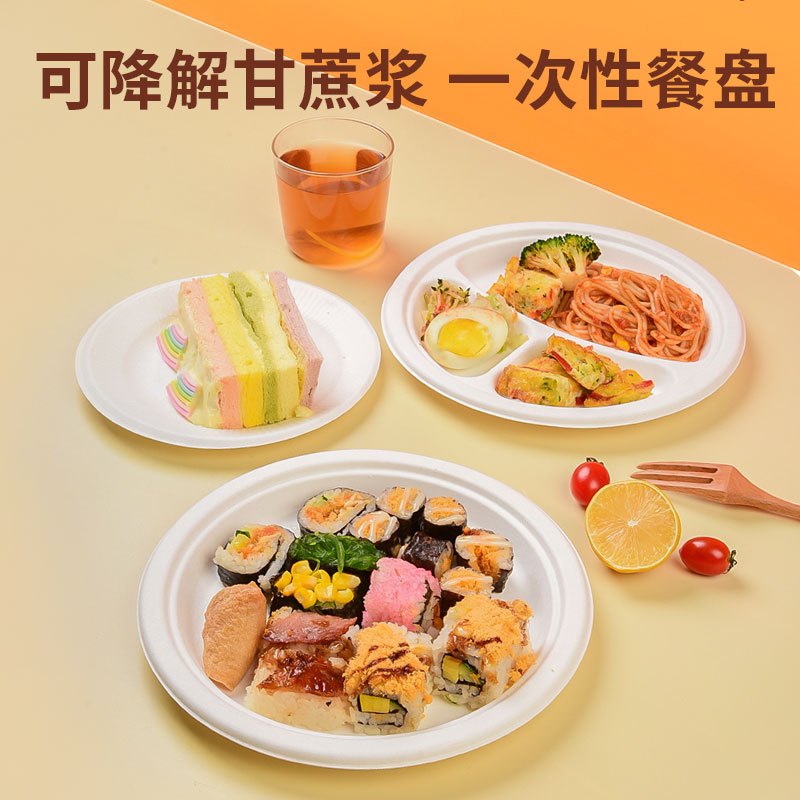 华普思10寸方盘一次性纸盘纸碗甘蔗浆可降解烧烤生日蛋糕盘加厚餐碗圆盘绘画盘子100只起订高清大图