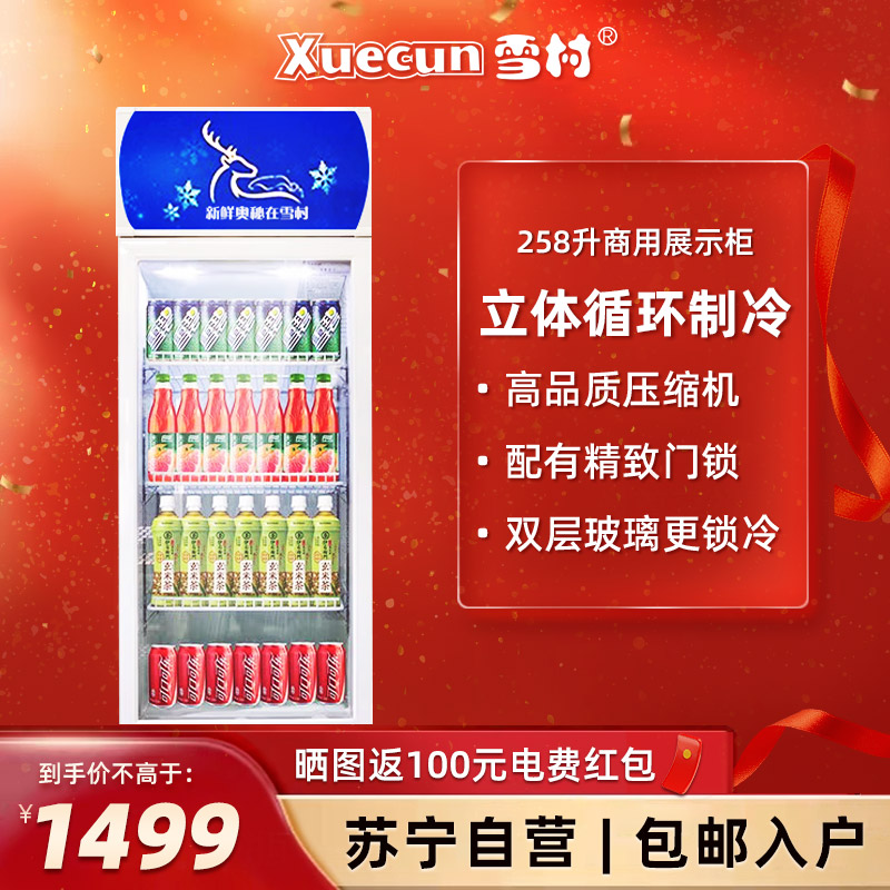雪村(Xuecun)258升 商用展示柜 立式陈列柜 冰柜 冷藏保鲜柜 商用冷柜 啤酒柜 饮料柜LC-258A