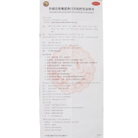 香港京都念慈菴蜜炼川贝枇杷膏300ml/瓶+999咽炎片 润肺化痰 止咳平喘 止咳糖浆【液体剂】【感冒咳嗽】