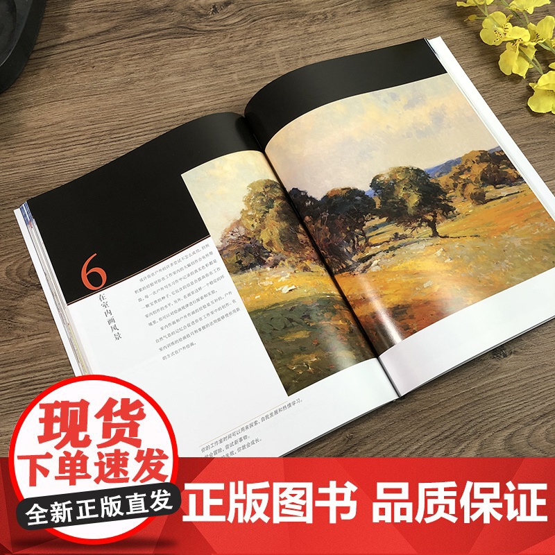 油画风景写生与创作第二版风景油画写生构图色彩光影绘画技法户外室内风景油画创作步骤示范教学 油画初学自学基础入门教程高清大图