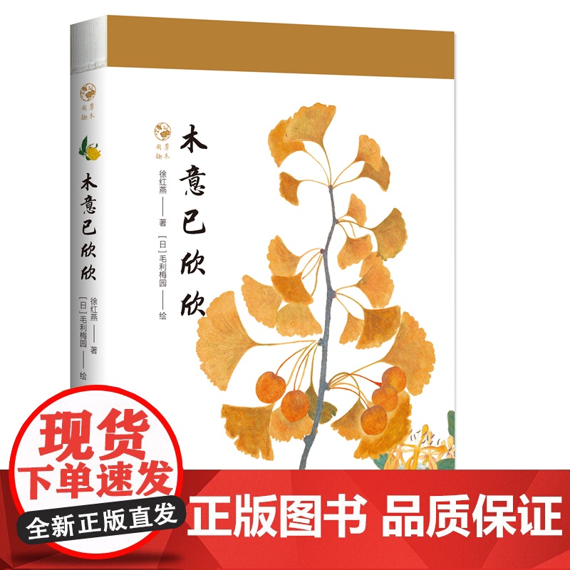 木意已欣欣高清大图