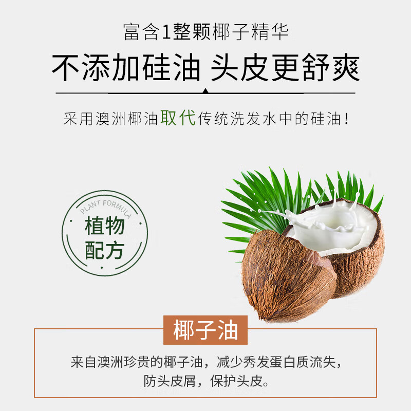 绿色溪谷 椰油营养强韧洗发液 500ml(单位:瓶)高清大图