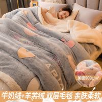 南极人毛毯被子冬季加厚珊瑚绒法兰绒床单盖毯春秋单人毯子床上用 180x220cm【加大单人毛毯】 双层加厚【牛奶绒+羊羔绒】-熊心壮志