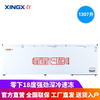 星星(XINGX) BD/BC-1398GE 1307升冷柜 厨房商用保鲜设备 大容量冰柜 冷藏冷冻两用转换柜