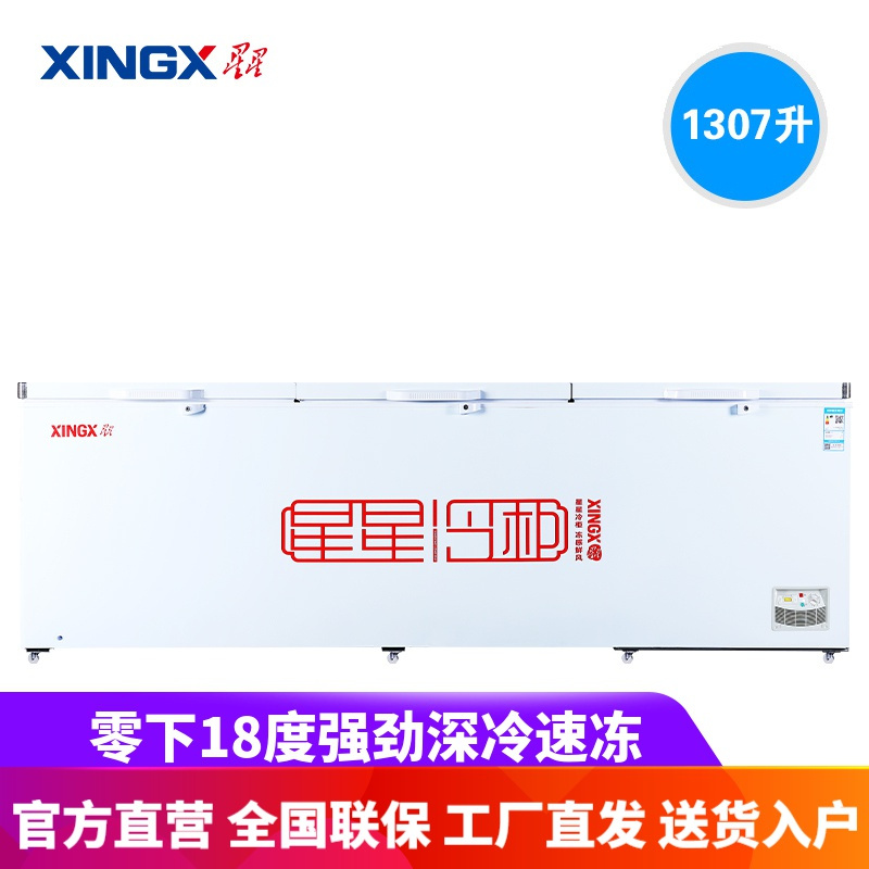 星星(XINGX) BD/BC-1398GE 1307升冷柜 厨房商用保鲜设备 大容量冰柜 冷藏冷冻两用转换柜