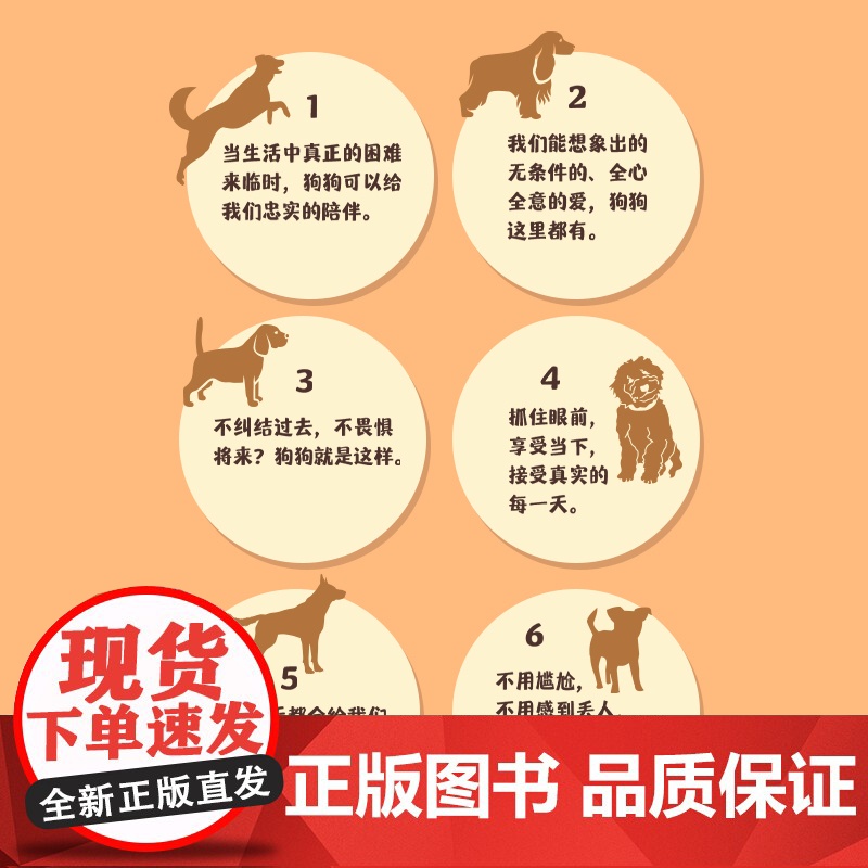 生活破破烂烂狗狗缝缝补补 成功励志疗愈减压人生励志狗狗的生活哲学宠物高清大图