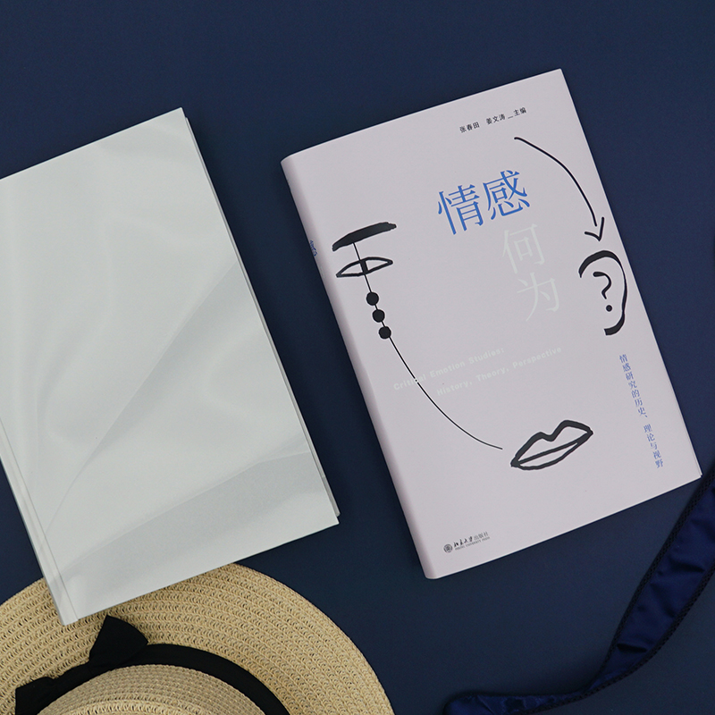 [醉染正版]情感何为 情感研究的历史、理论与视野 北京大学出版社 张春田,姜文涛 编 文化理论高清大图
