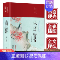 [正版]宋词三百首 中国传统文化经典荟萃文白对照 原文注释中国古诗词中国古代文化常识宋词精选宋词鉴赏词典 中国古代诗词古