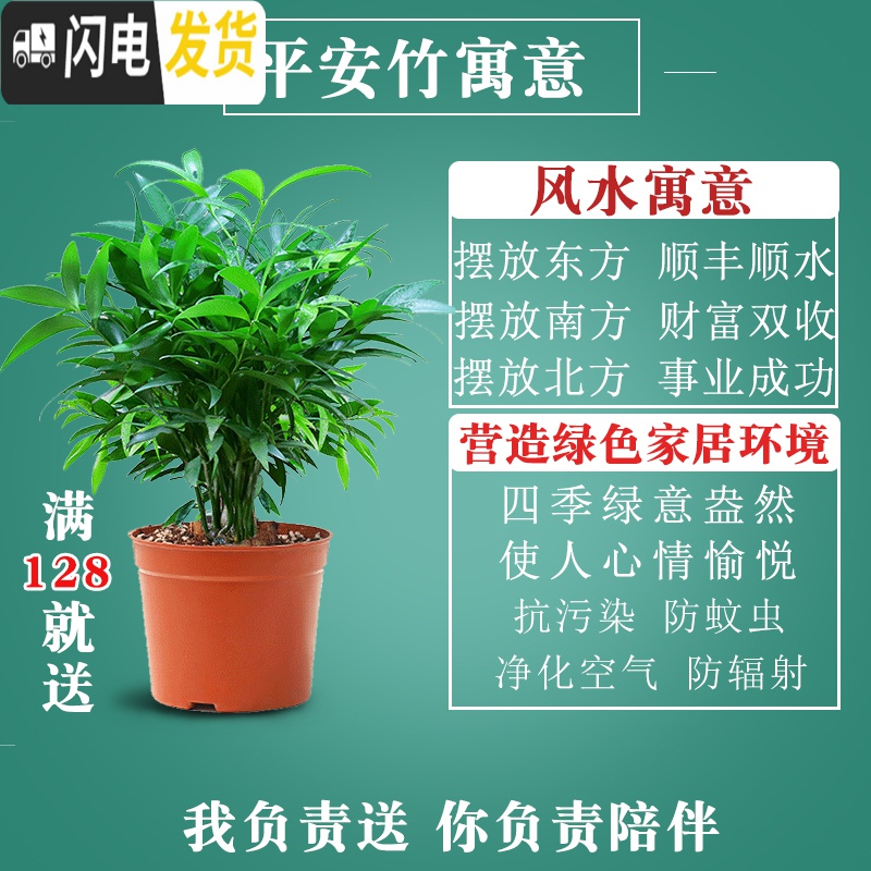 三维工匠蝴蝶兰专用陶瓷花盆家用多肉盆带托盘大号紫砂胎粗陶透气个性艺术 (蝴蝶兰专用)[带底碟]星空蓝576花盆 花盆容器高清大图
