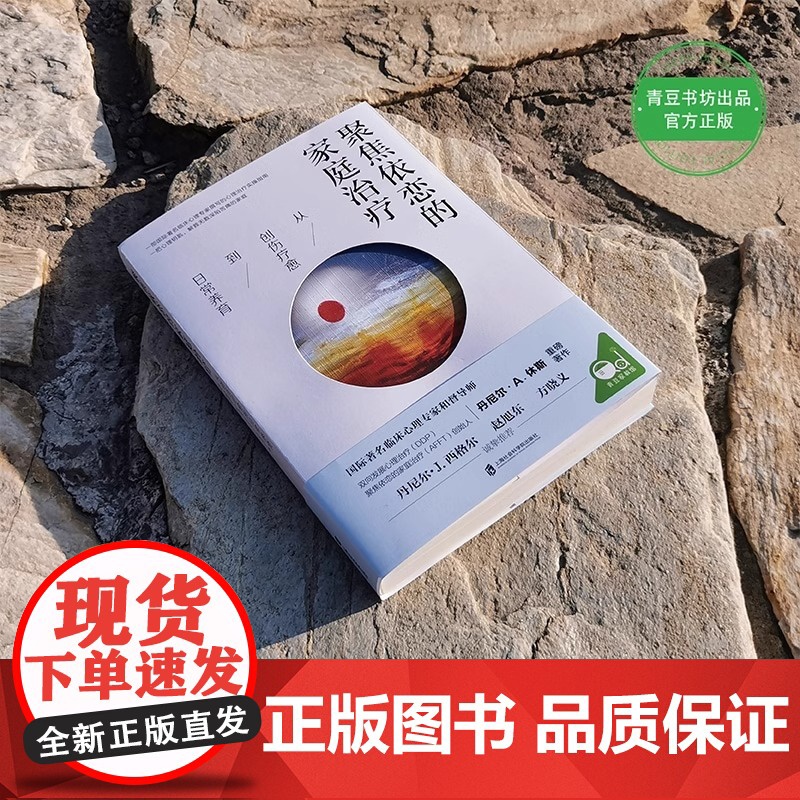 [央视网]聚焦依恋的家庭治疗:从创伤疗愈到日常养育 国际心理治疗大师家庭治疗实操指南 家庭关系修复的实用宝典QS高清大图