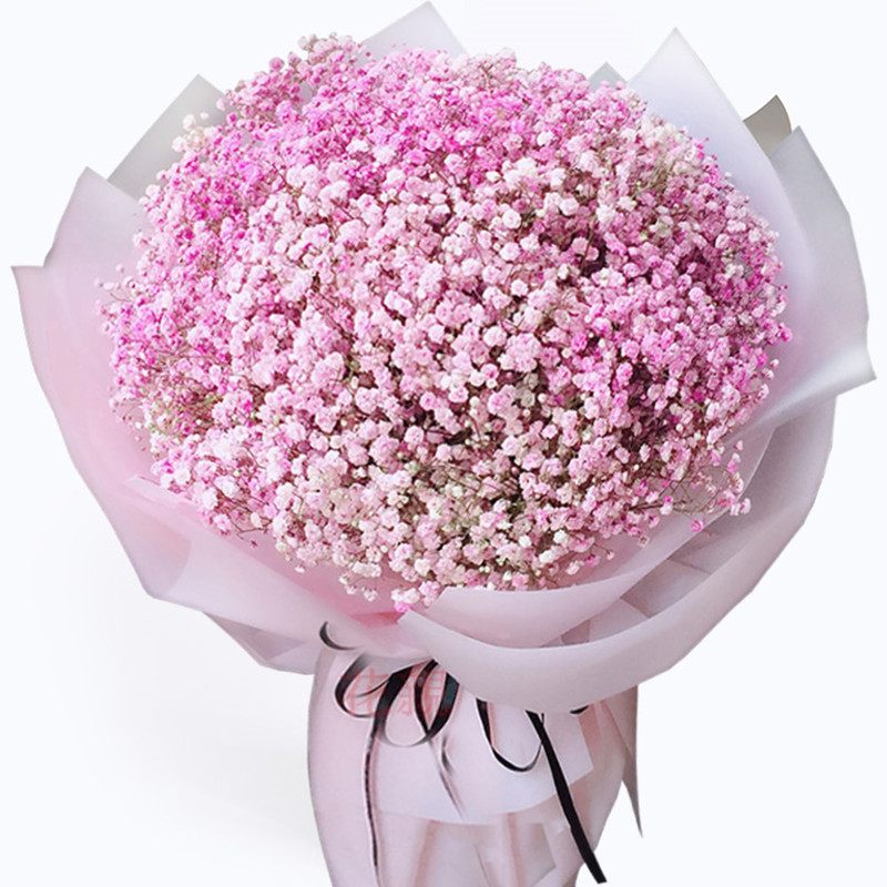 全国同城配送鲜花店粉色满天星干花花束大束勿忘我女朋友老婆闺蜜生日