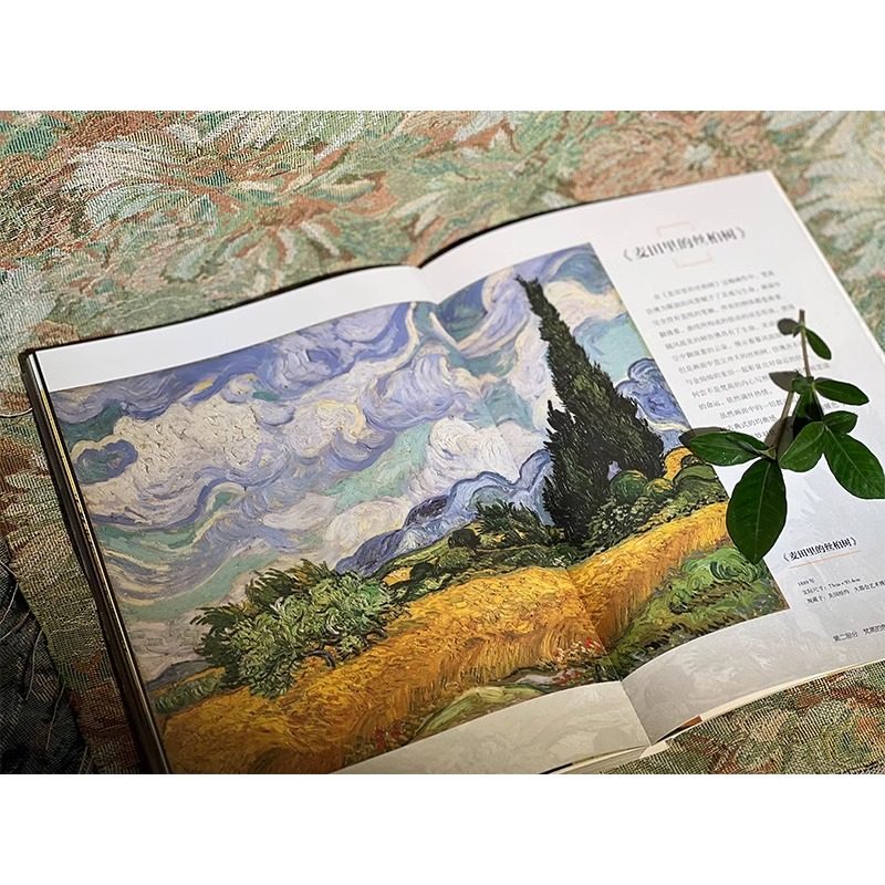 [正版] 悲剧天才梵高 聊不完的艺术家 画家生平传记事迹人物描写不同时期日常生活状态背后故事作品图片解析集图册图画作品集高清大图