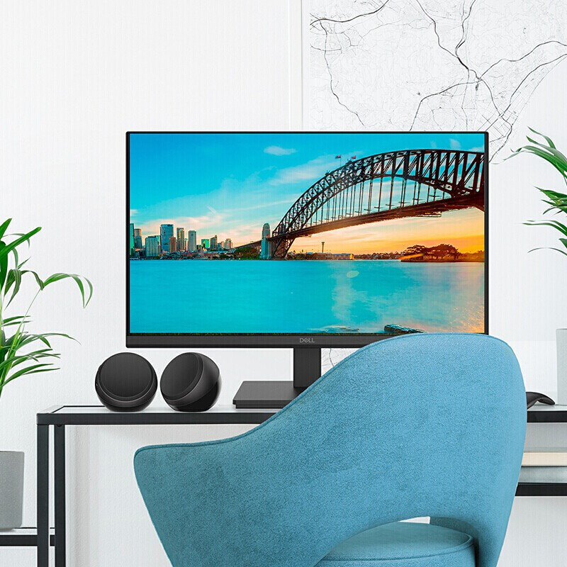 戴尔(DELL)显示器 D2421DS 23.8英寸2K高清蓝光显示器 三年