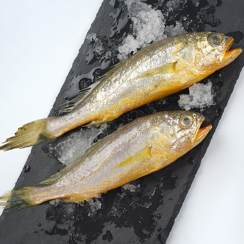 [预售年后发货]5斤舟山小黄鱼东海黄花鱼每斤10-12条