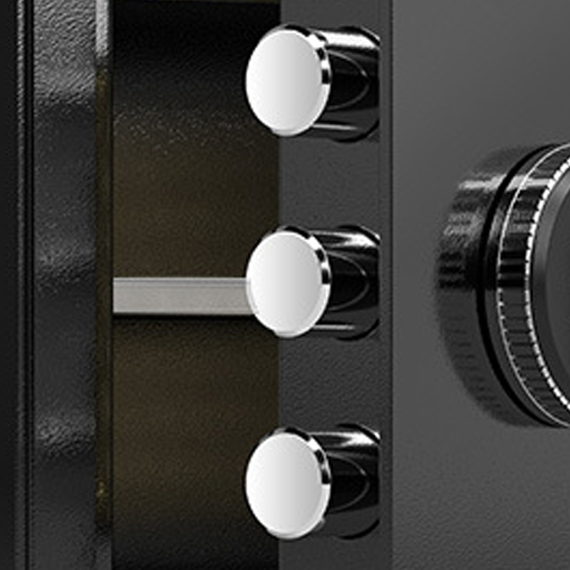 臻远 ZY40618087 小型保险柜密码保险箱全钢防盗保管箱 25cm黑色指纹密码款高清大图