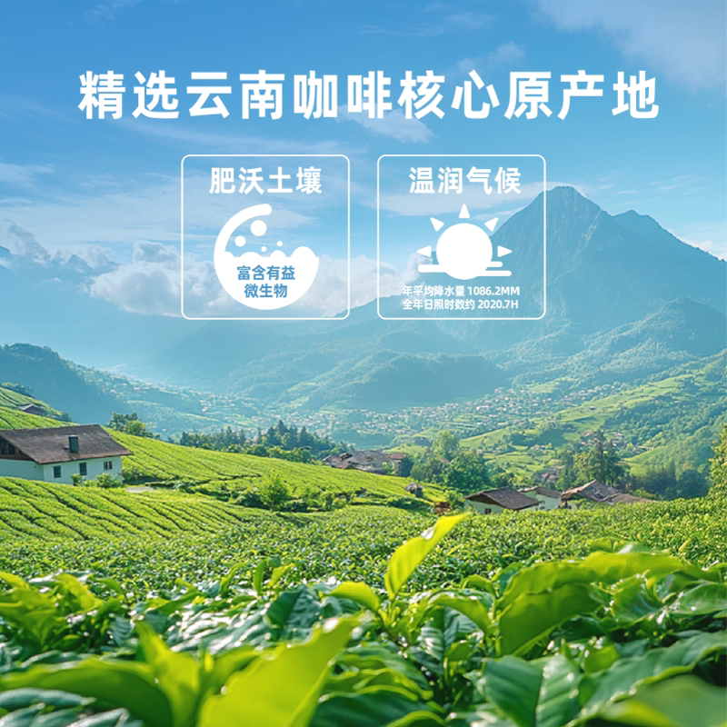 四只猫羽衣甘蓝奇亚籽黑咖啡120条囤货装 0蔗糖速溶黑咖啡 赠手提奶黄杯高清大图