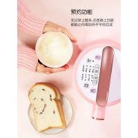 九阳(Joyoung)豆浆机DJ13B-D08D辅食机 破壁免滤快速制浆米糊 家用全自动预约 婴儿辅食机