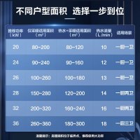 美的(Midea)双变频省气 一级能效 低噪冷凝式燃气壁挂炉 天然气供暖 家用地暖采暖锅炉LL1PBD28-R53