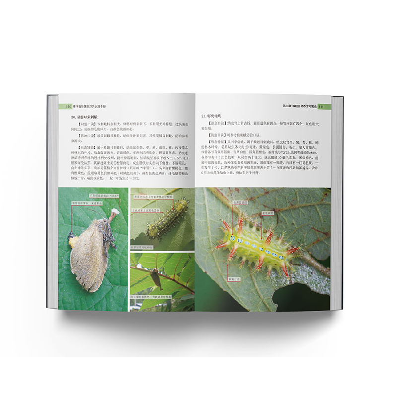 醉染图书林木食叶害虫野外识别手册9787521913583高清大图