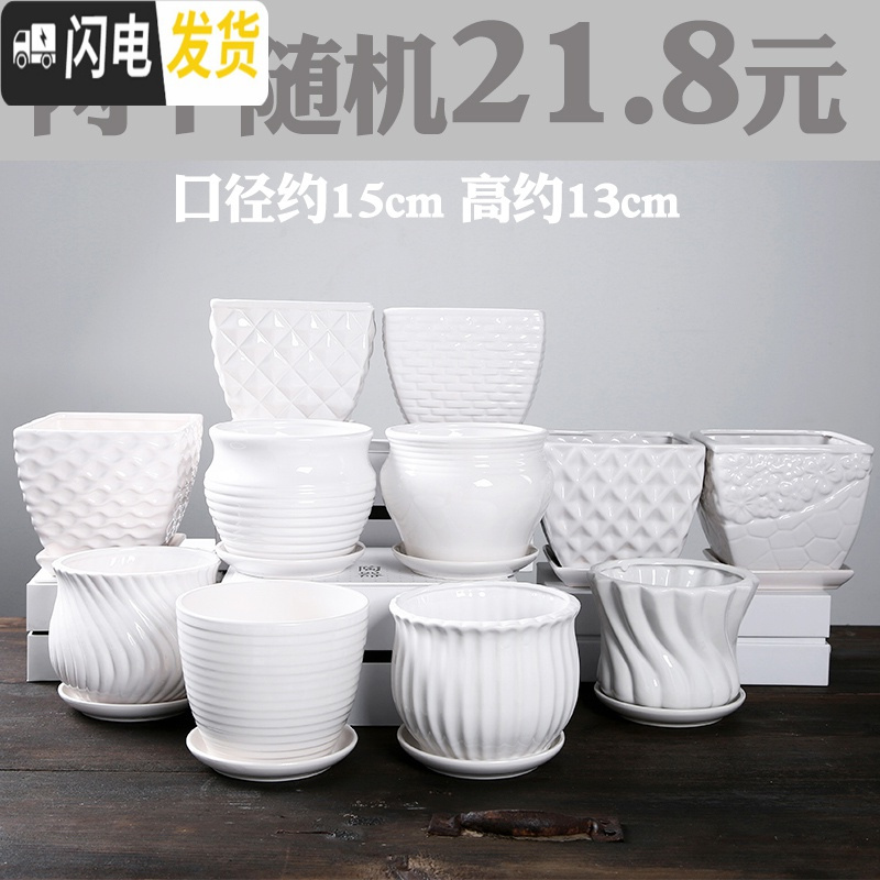 三维工匠多肉粗陶小号花盆陶瓷花盆清仓肉肉塑料紫砂绿萝多肉植物花盆大号 大尺寸白瓷花盆随机两个 中等