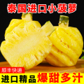 【西沛生鲜】泰国迷你小菠萝 酸甜多汁 净重5斤装 1斤3-6个 去皮小凤梨 凤梨 削皮菠萝 超甜时令 开袋即食