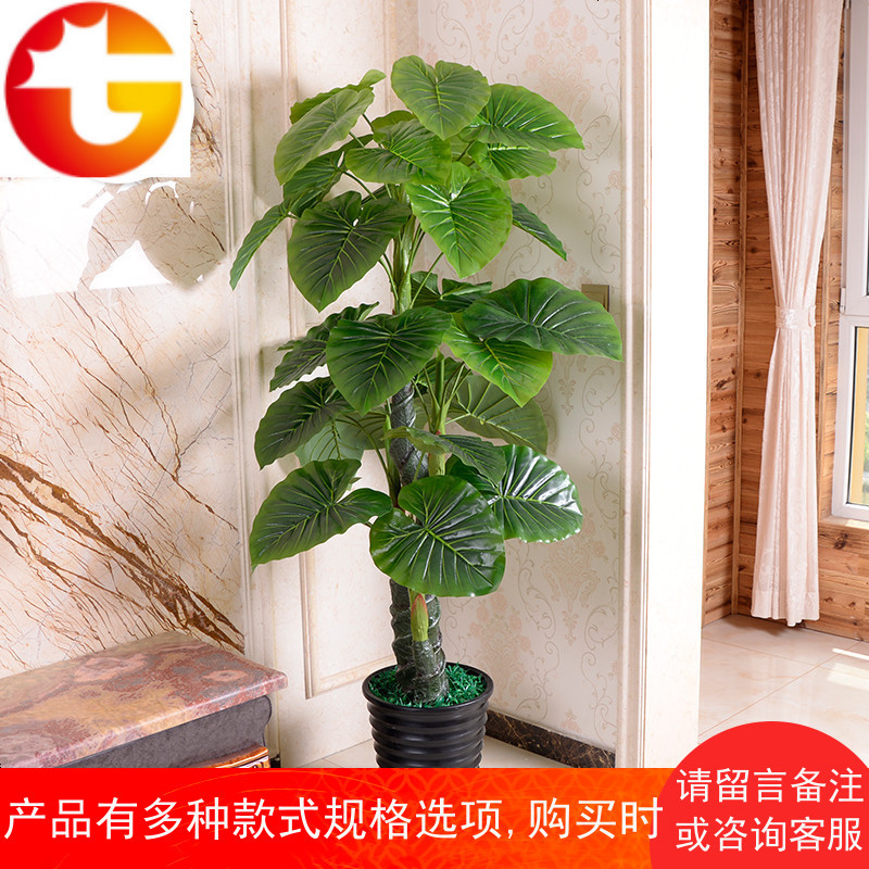 假树滴水观音仿真植物树绿植大型盆栽客厅办公室内假花落地装饰花