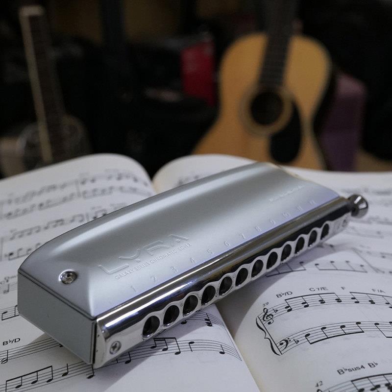 天琴座半音阶口琴12孔lyra金属琴格新手成人初学练习专业演奏乐器