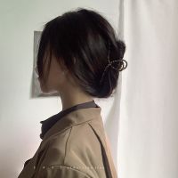 金属豹纹后脑勺大号抓夹韩国优雅气质发夹女发抓鲨鱼发卡盘发夹子 金属豹纹大号扭曲款(11.5cm)
