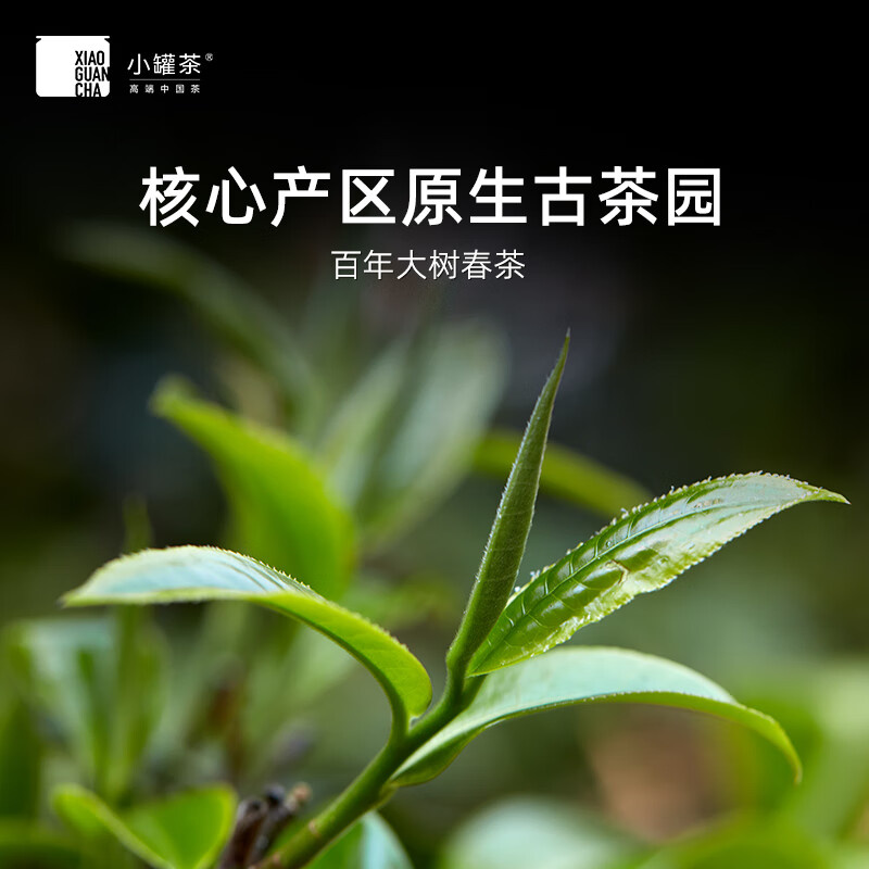 小罐茶 金罐10罐装特级黑茶普洱茶熟茶金罐茶礼盒装10罐邹炳良大师监制 A/B随机发 4g*10罐高清大图