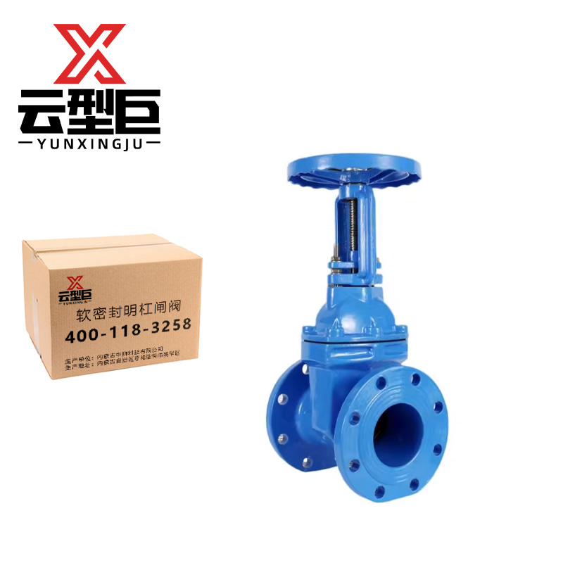 云型巨 软密封明杠闸阀 Z41X-16/DN80 个高清大图