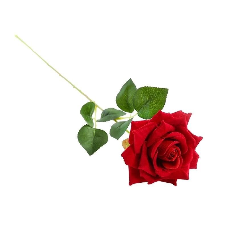 鼎卉鲜花速递简单包装红玫瑰花材单支告