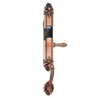 亚太天能(TENON)智能指纹锁 锌合金家用指纹密码锁电子门锁 F6e 红古铜
