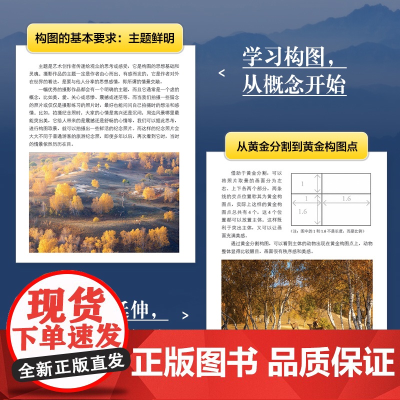 摄影构图核心技法 摄影书籍入门摄影构图拍摄技巧教程数码单反摄影构图教程手机摄影入门旅行风光人像摄影书籍高清大图