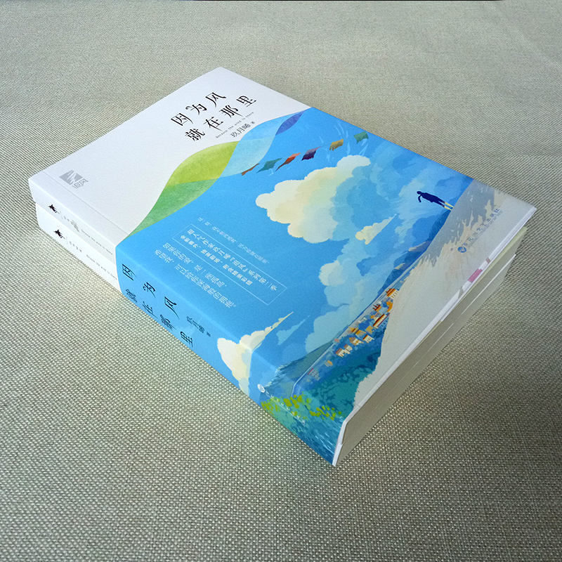[醉染正版]正版 因为风就在那里全二册 玖月晞追风系列季 继他知道风从哪个方向来新作 青春文学 都市情感言情小说高清大图
