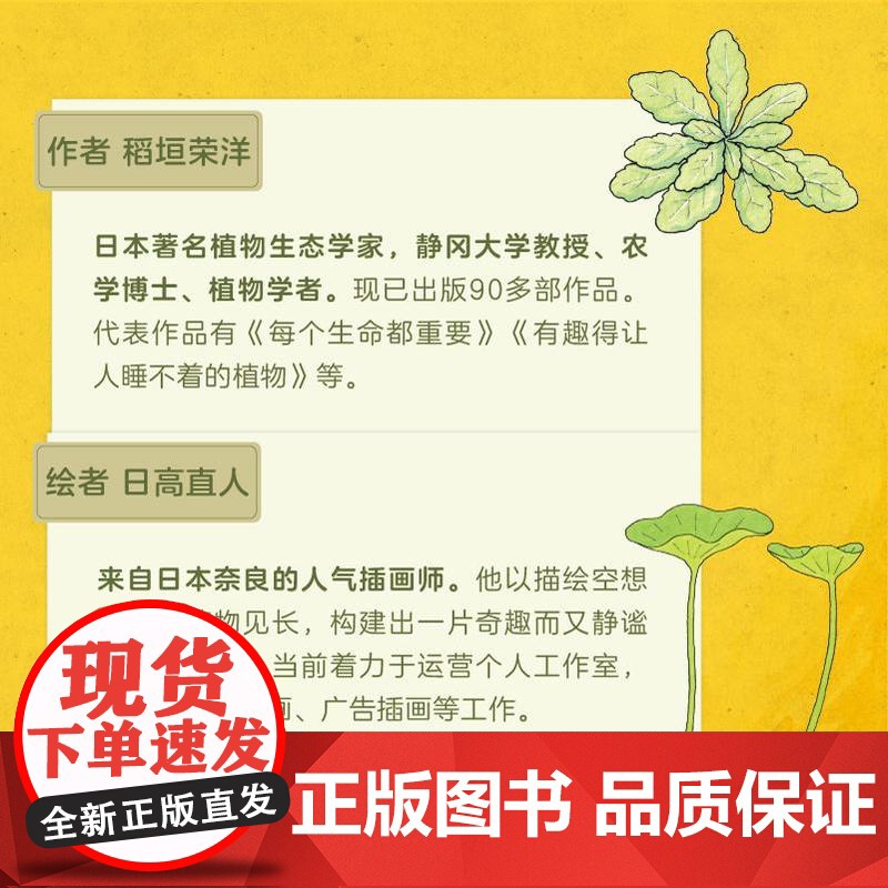 蔬果也要斗志满满 手绘自然图鉴《蔬果也要斗志满满》 稻垣荣洋 中国纺织出版社高清大图