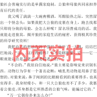 第七条猎狗正版沈石溪的书六年级动物小说单本非拼音物流年级必读课外阅读书籍6年级小学生全系列第7条猎狗