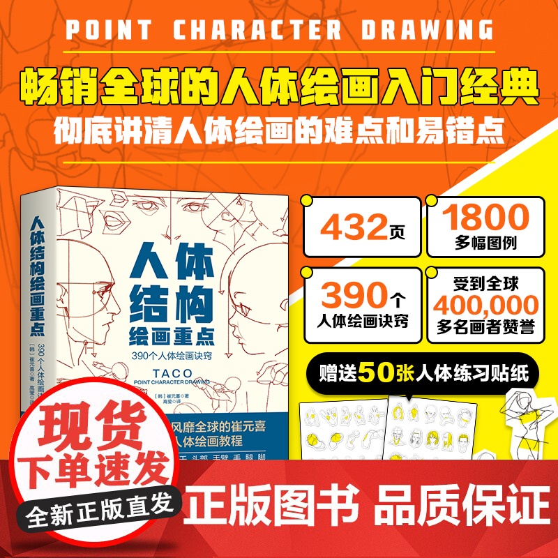 [央视网]人体结构绘画重点 全球的TACO 崔元喜 人体结构绘画教程 从头发丝到脚趾结构 彻底讲清人体绘画的难点和易错点高清大图