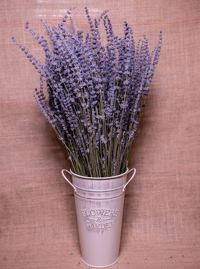 薰衣草干花粒